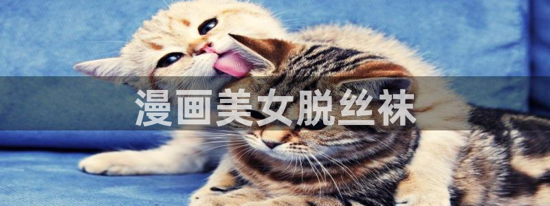 汗汗漫画 漫画：漫画美女脱丝袜