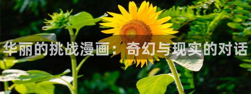羞羞歪歪汗汗漫画：华丽的挑战漫画：奇幻与现实的对话