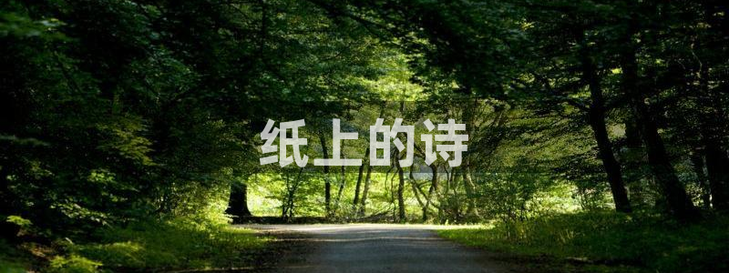 汗汗漫画网在线看：纸上的诗