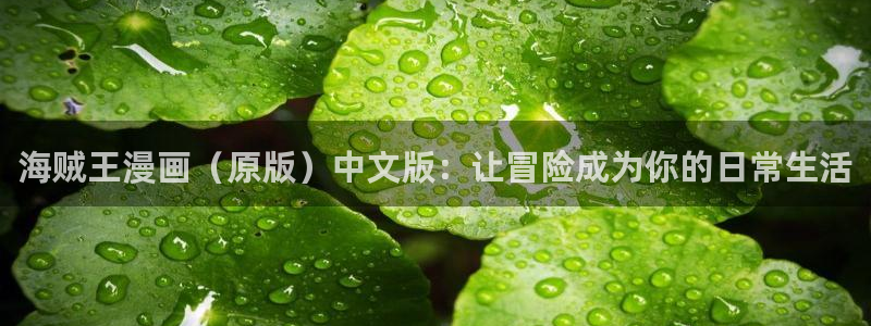汗汗漫画免费漫画页面在线看：海贼王漫画（原版）中文版：让冒险成为你的日常生活