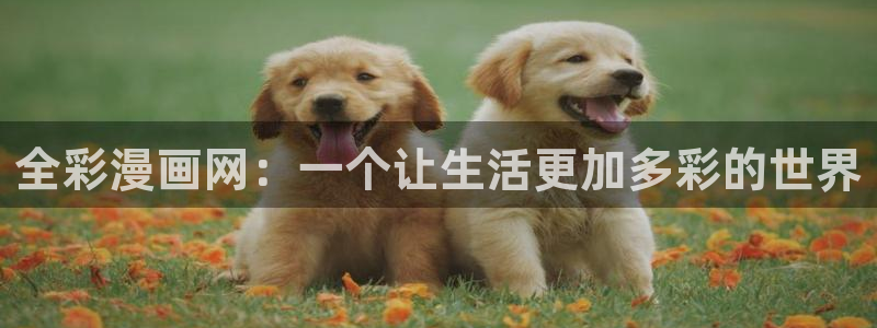 汗汗漫画网首页：全彩漫画网：一个让生活更加多彩的世界