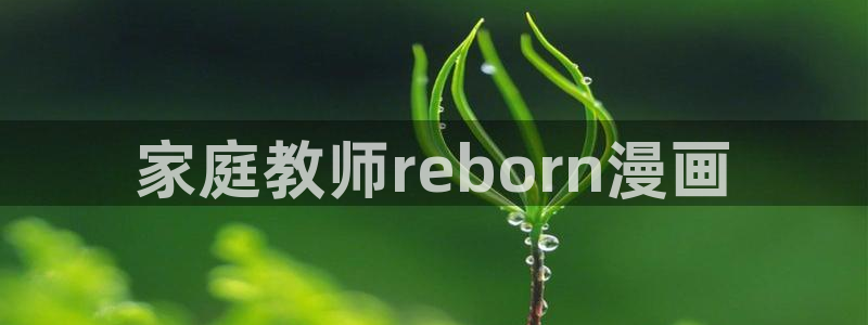 汗汗漫画改名叫什么了：家庭教师reborn漫画