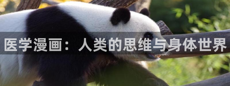 汗汗漫画主页面：医学漫画：人类的思维与身体世界